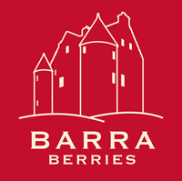 Barra Berries